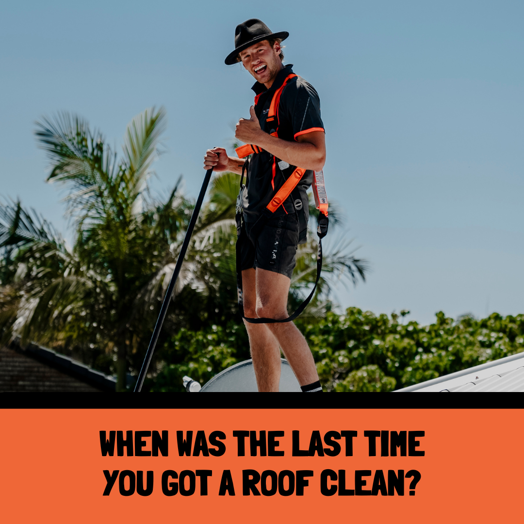 No Pressure Sunshine Coast technician harnessed on a roof — when was the last time you got a roof clean?